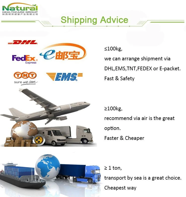 shipping