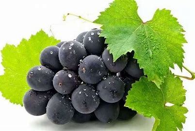 Grape skin extract
