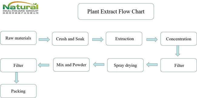 flow chart