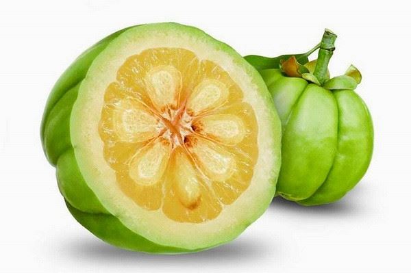 Garcinia Cambogia:میوه مقدس برای کاهش وزن