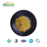 Ginkgo Flavone Glycosides Powder