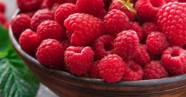 چگونه فعالیت آنتی اکسیدانی تمشک کتون؟