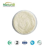 پودر میوه آووکادو