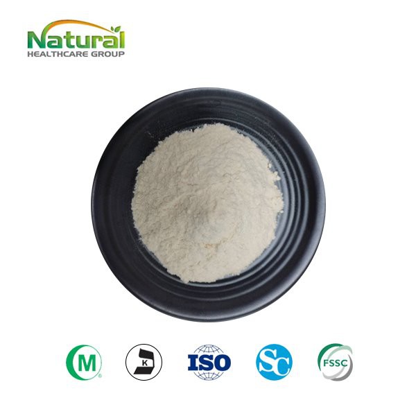 عصاره فله مگنولیا