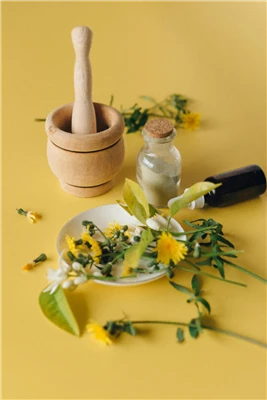 چگونه از عصاره سلندین استفاده کنیم؟