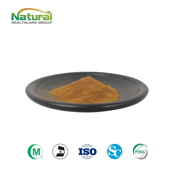 Maitake Mushroom Extract